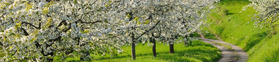 conni_eyrich_0001_Ebene 23.jpg